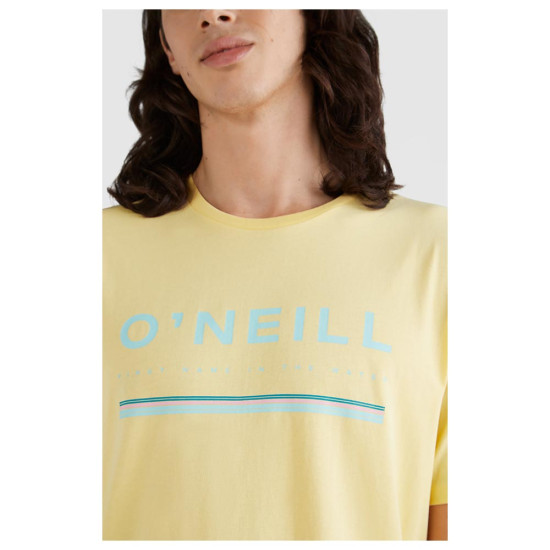 O'neill Ανδρική κοντομάνικη μπλούζα Arrowhead T-Shirt O'neill Ανδρική κοντομάνικη μπλούζα Arrowhead T-Shirt